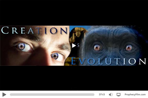 Criacionismo x Evolucionismo